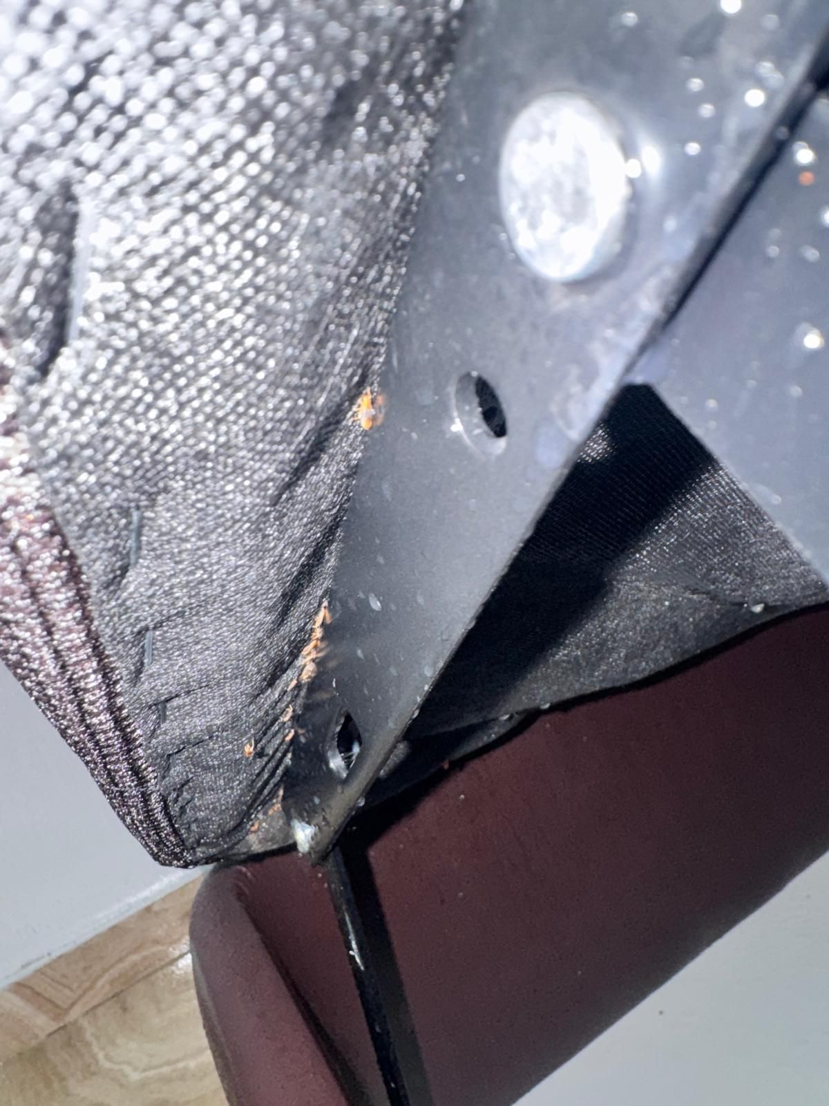 Chinches de cama en las costuras de la tela y el herraje de un somier